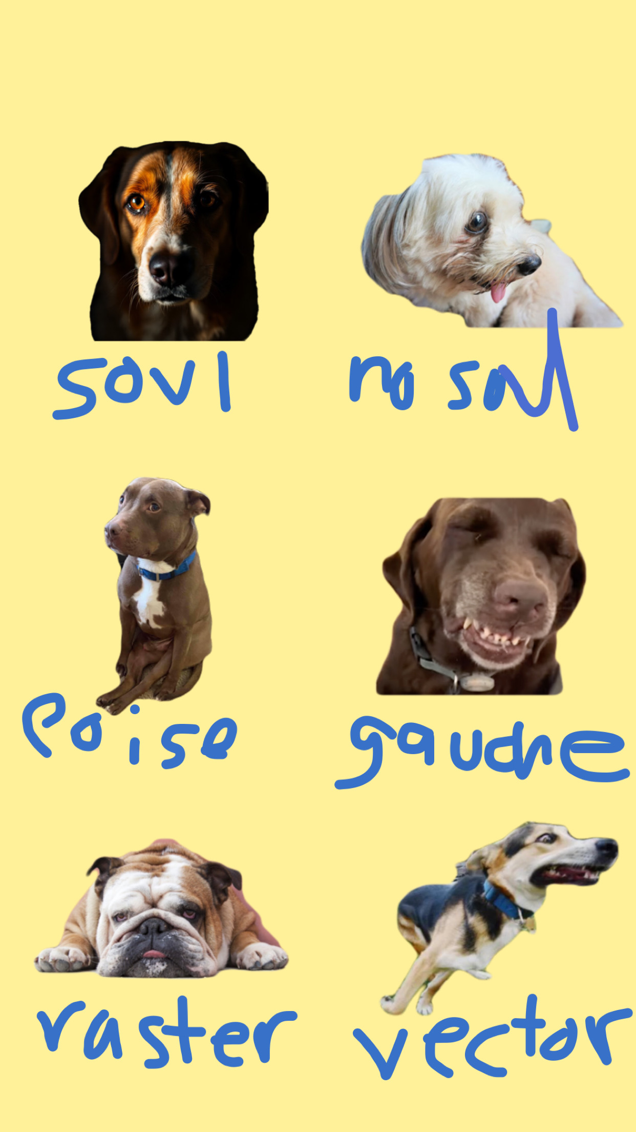 Dog space instructions